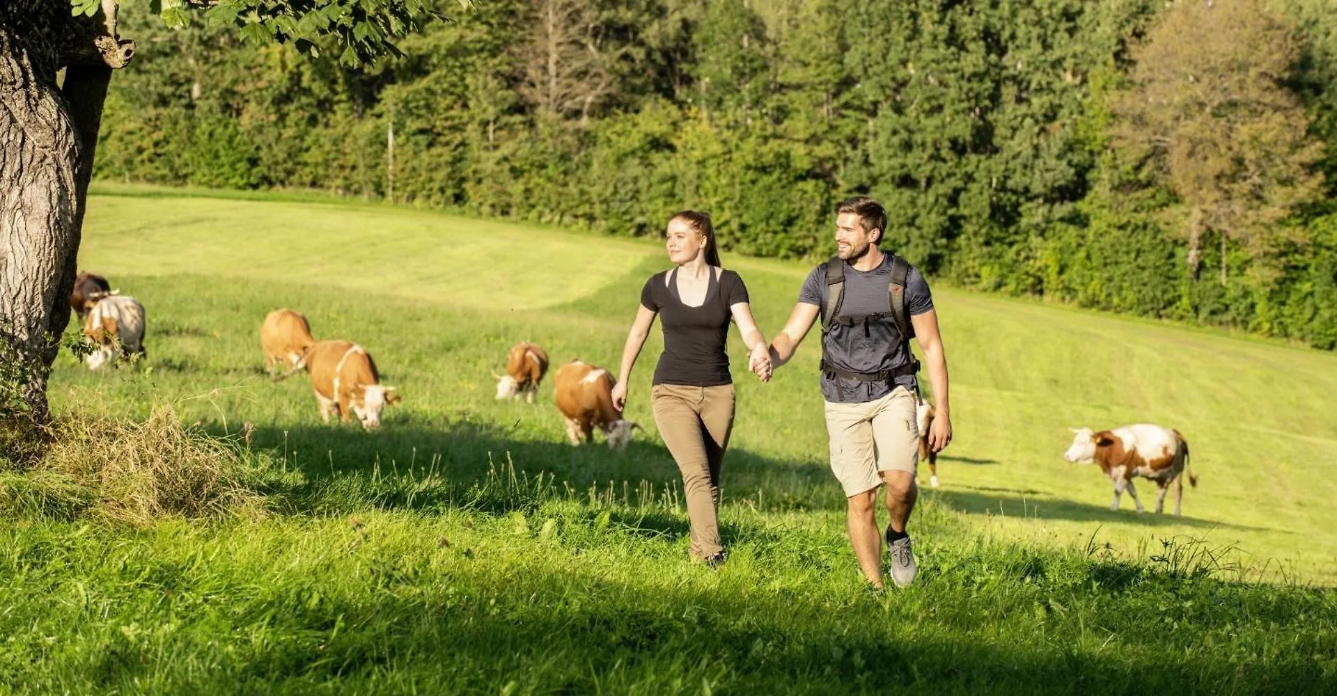 Hotel Sonnenhof Resort Bayerischer Wald Lam