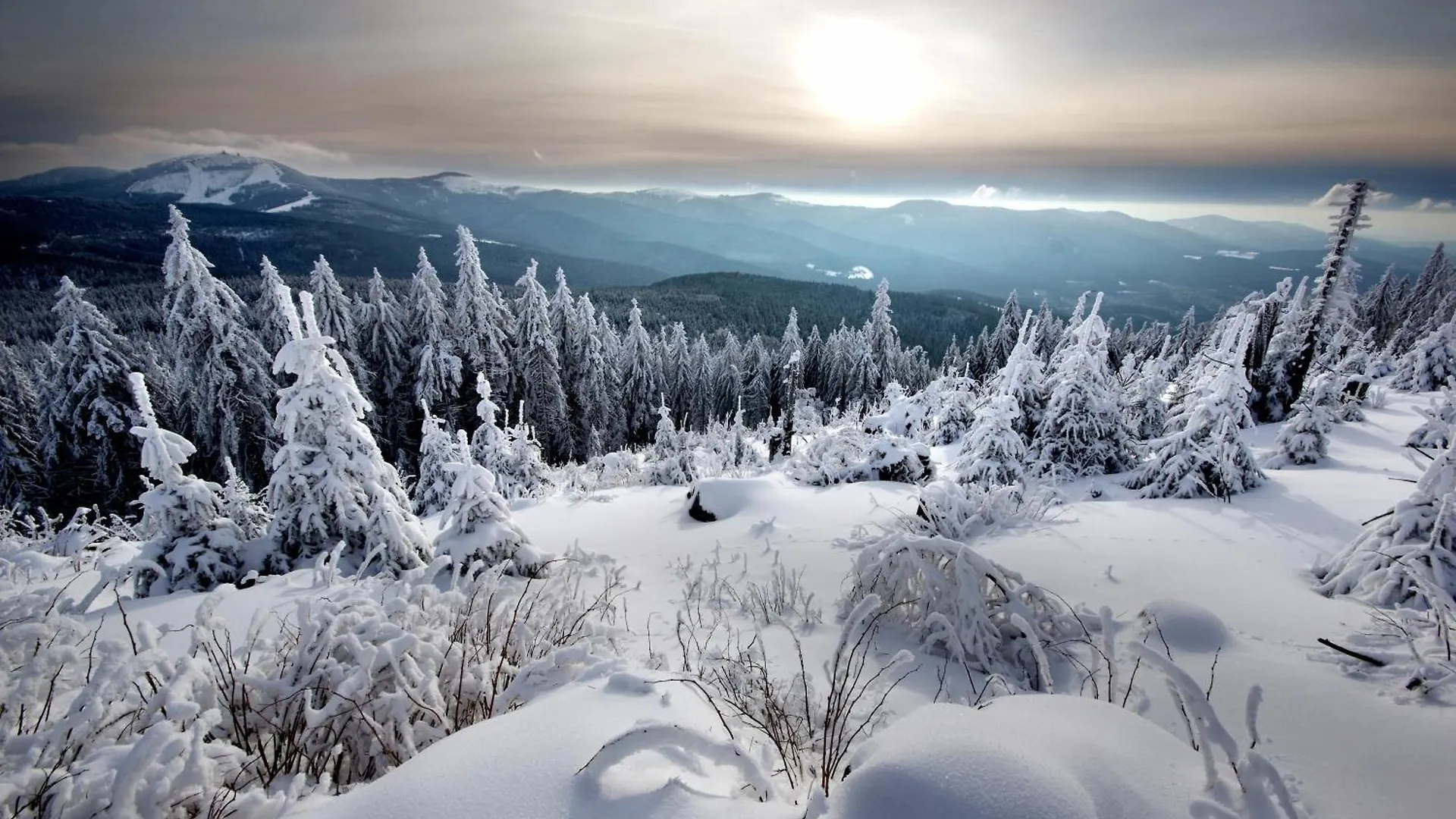 Sonnenhof Resort Bayerischer Wald Lam Alemania