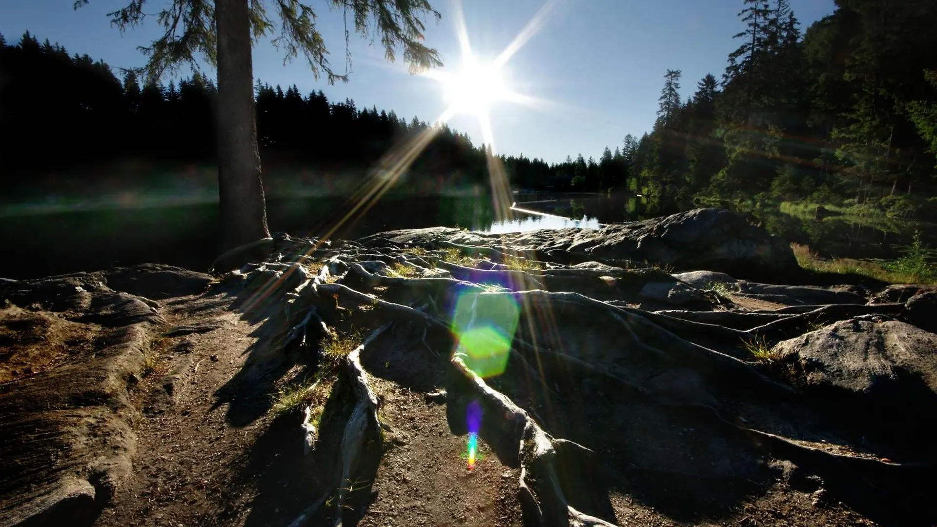 Sonnenhof Resort Bayerischer Wald Lam